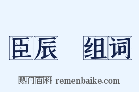 臣辰盉组词是什么意思的图片